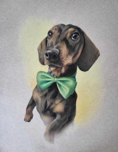 Retrato realista perro encargo regalo dibujo pastel lápices de colores mascota