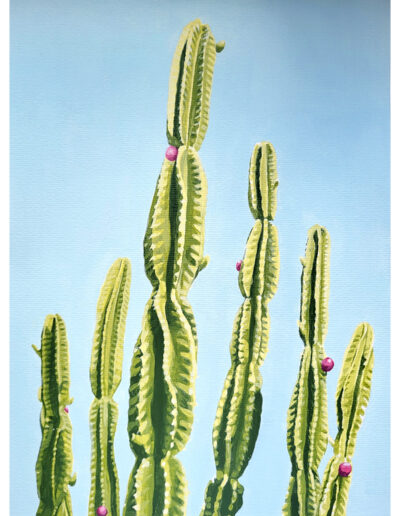 Pintura cactus candelabro acrilico dibujo