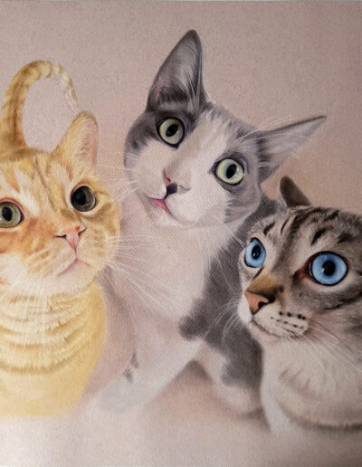 Retrato de los 3 bebés de la familia, sus 3 gatos