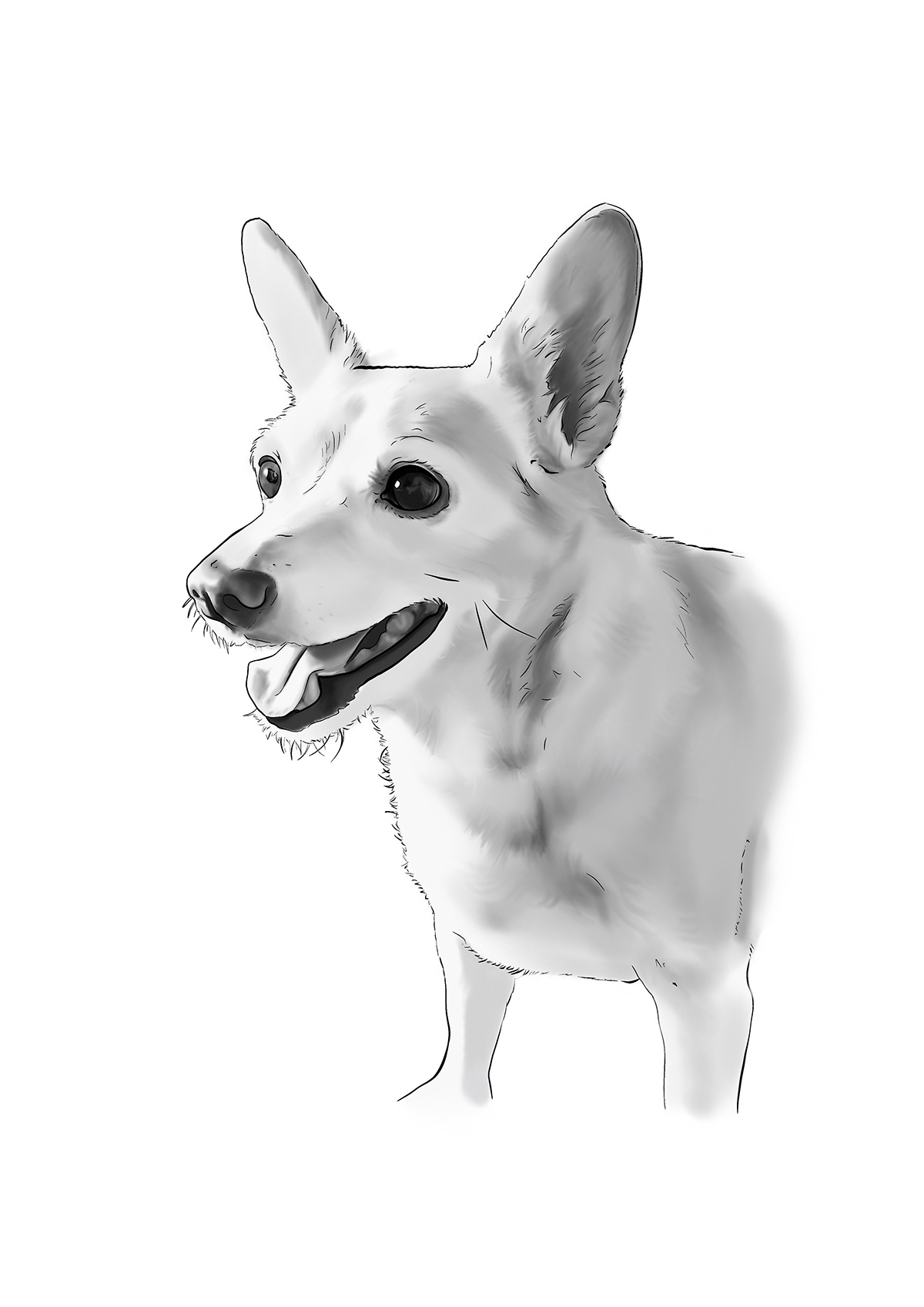 Retrato digital familiar personalizado