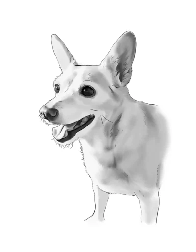 Retrato digital de una perrita sonriendo, en blanco y negro